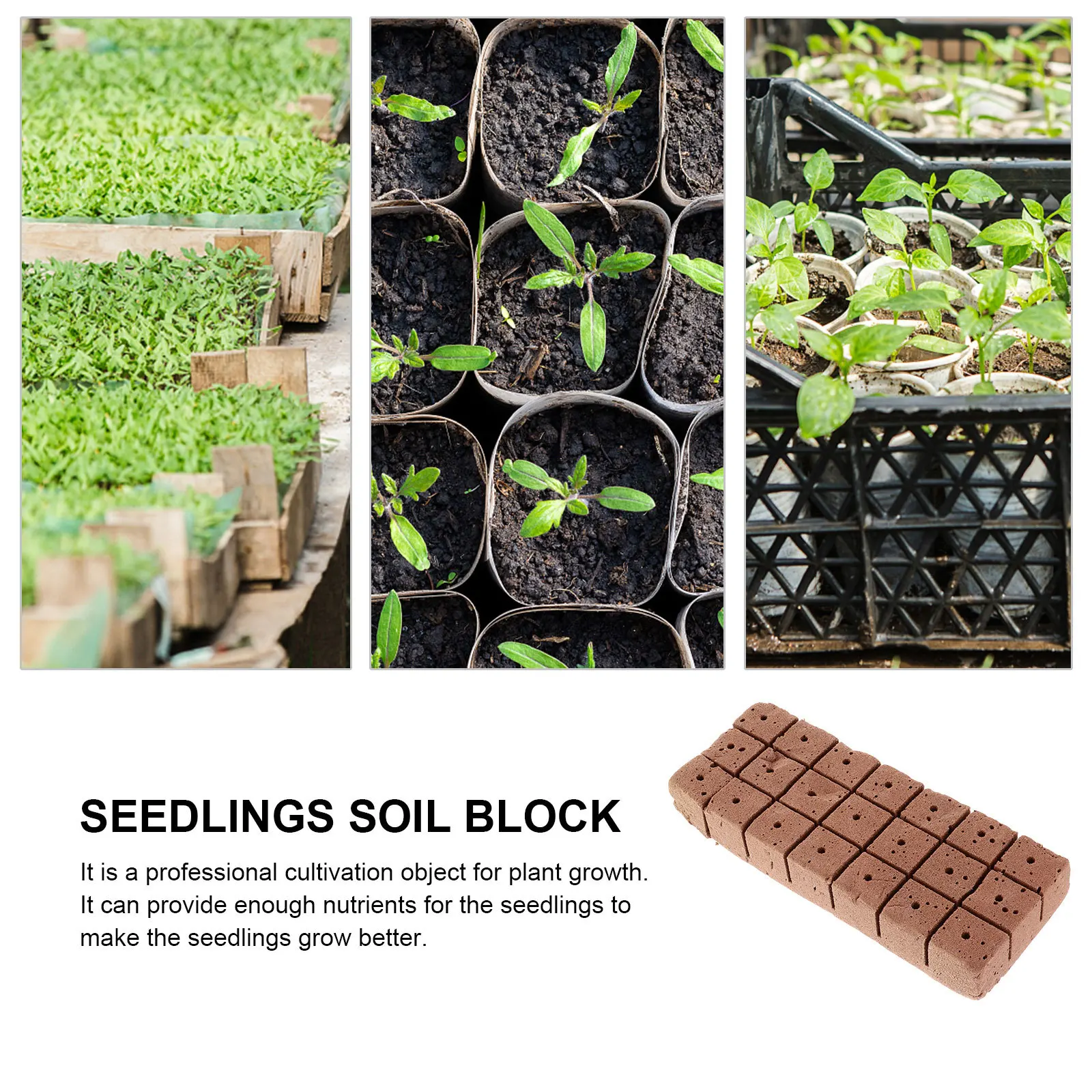 

20pcs Soilless Cultivation Seedlings Block For Garden Plant Nursery Fast Growing Fine Cell Structure Square Block Gardening
