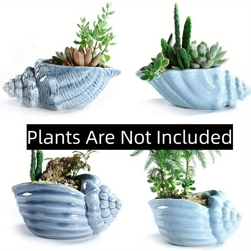 

Cute Small Conch Succulent Plant Pots Conch Creative Ceramic Mini Mini Pots Desktop Shell Succulent Ceramic Planter