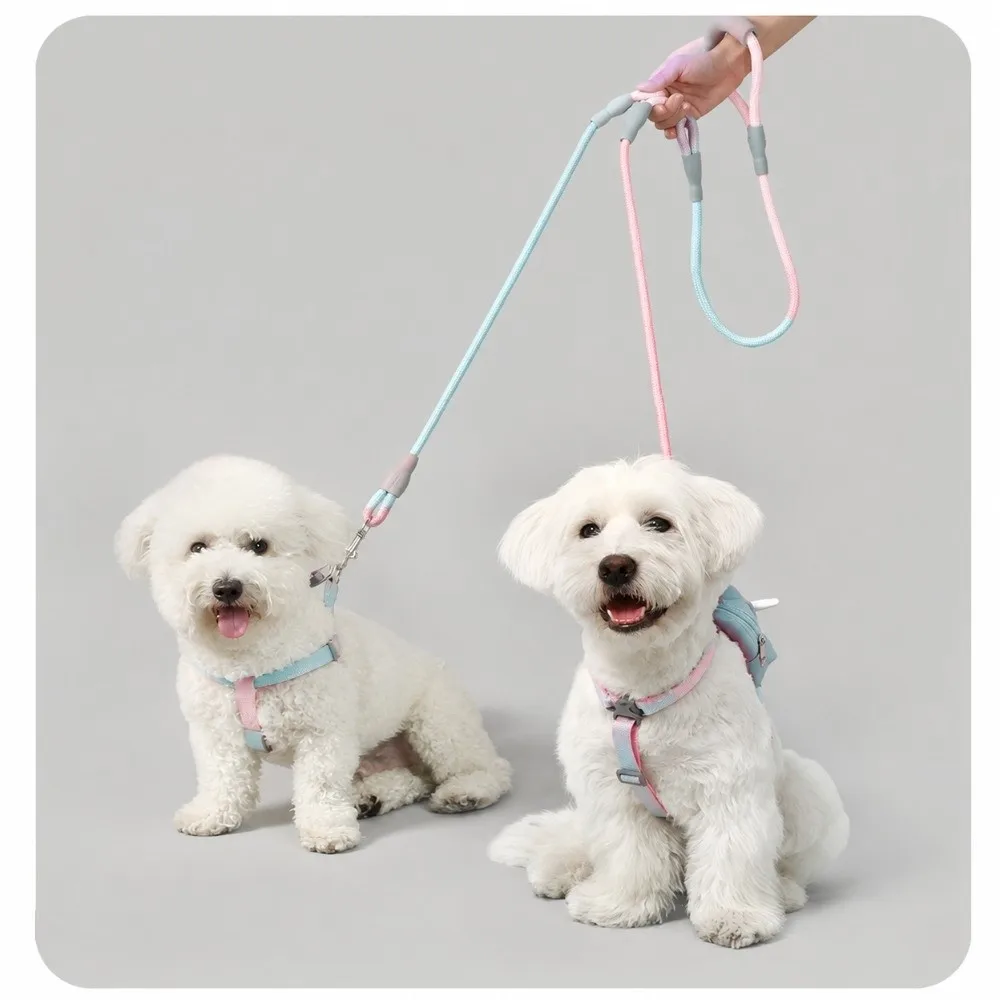 1.2cmx0.8M+1.0cmx0.6M Gradient Color Double Dog Leash Multi Colors Lightweight Two Dog Lead Double Head Anti Knot Dual Dog Rope