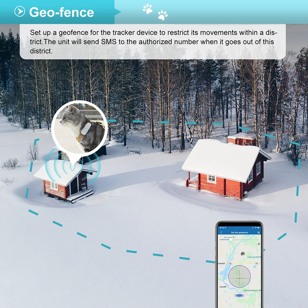 Dispositivo de seguimiento Gps - Dog Gps Tracker Collar 4G Waterproof reseña y precio