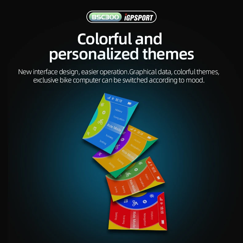 Рисунок 5 - BSC300 GPS компьютер беспроводной