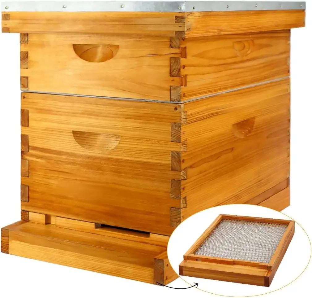 

Wholesale Wax Coated Wooden Langstroth Bee Hive Screened Bottom Board Complete Beehive Box 2 Layers Beekeeping Equipment