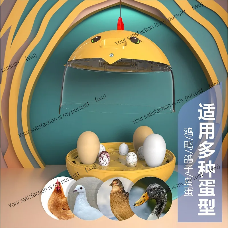 Small Mini Egg Incubator Automatic Incubator Egg  Rutin Chicken Egg
