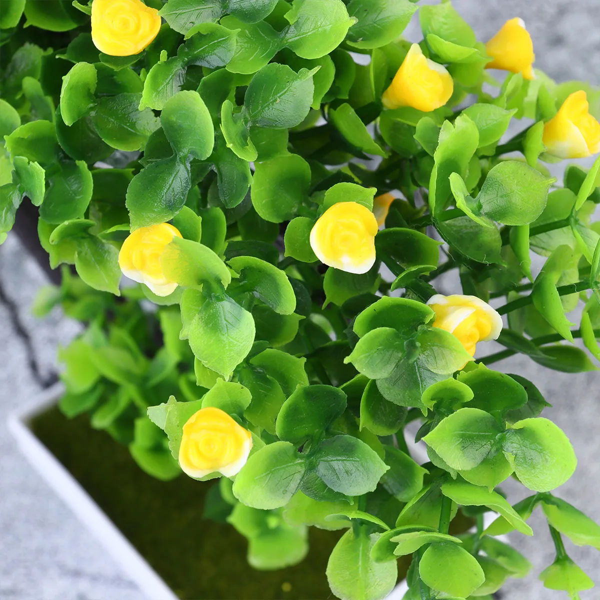 

2Pcs Artificial Plants Plastic Potted Tree Bonsai Decor Home Office Coffee Table Decoration Fake Plants Waterproof