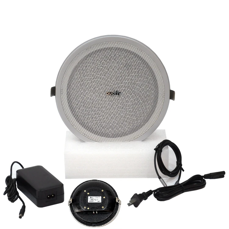 

2026 Next-generation Sound Control Technology Customizable Ceiling Mounted Sound Zones Directional Speakers for Museum