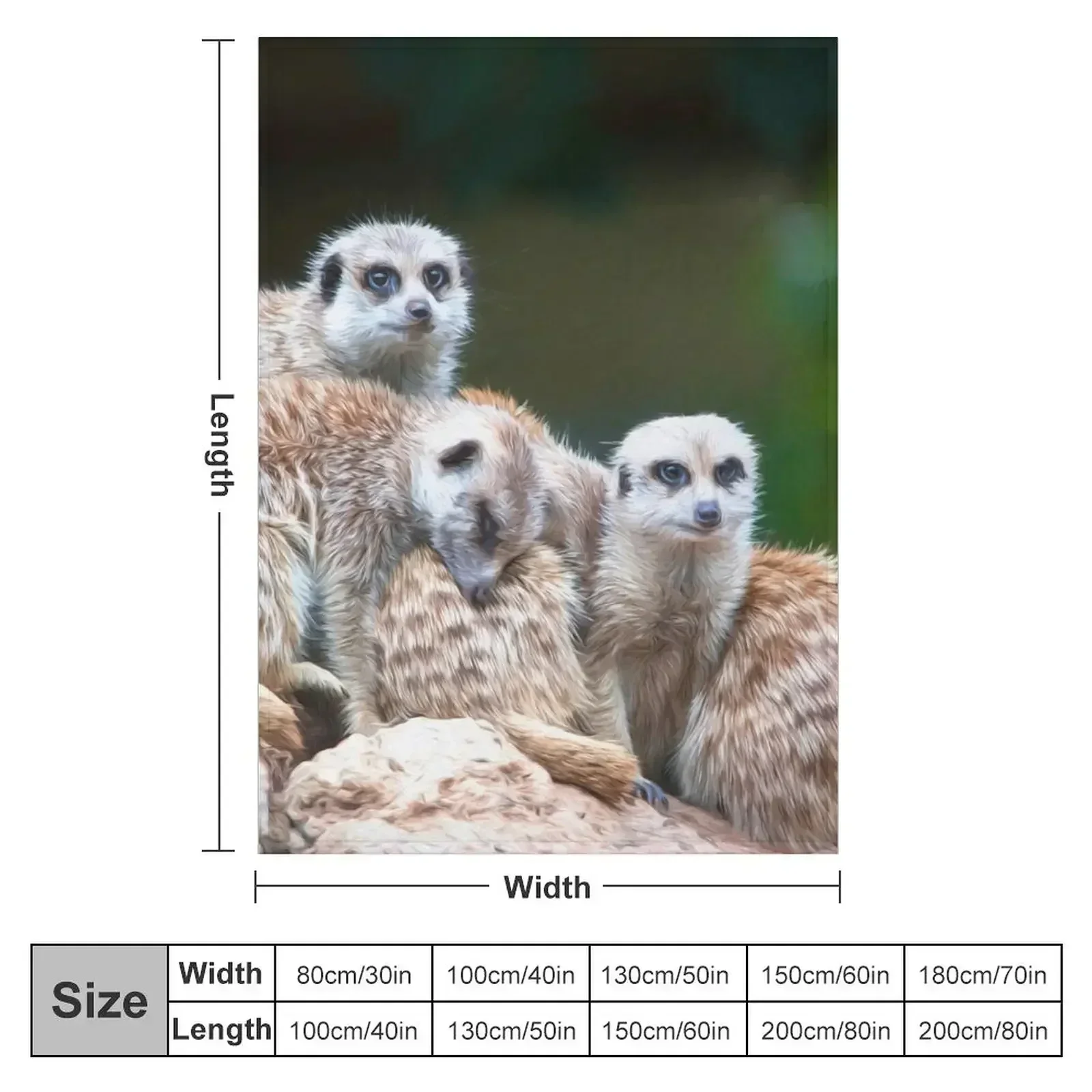 Meerkat Family(digital painting) Throw Blanket couch cozy soft plush fuzzy picnic outdoor blanket