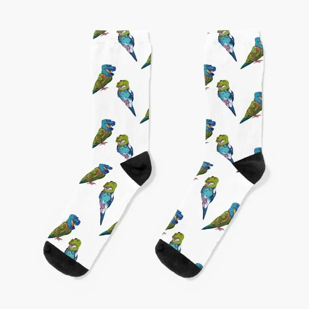 Dinosaur Budgies Socks Running basketball colored retro Socks For Men Women's