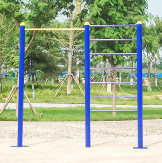 

Combination of Ribcage and Barbell Outdoor Fitness Equipment