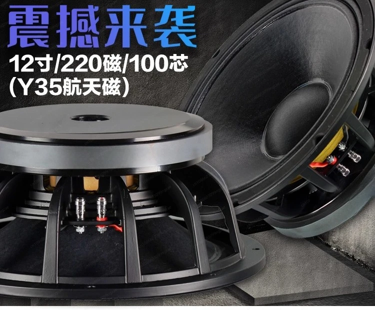 It's Not A Pair, It's A 12-inch 220 Magnetic 100-core Woofer, Medium Bass, Full-frequency, High-power Stage Performance Speaker.