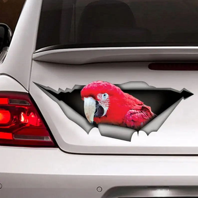 Red macaw parrot decal, Red macaw magnet, parrot car sticker