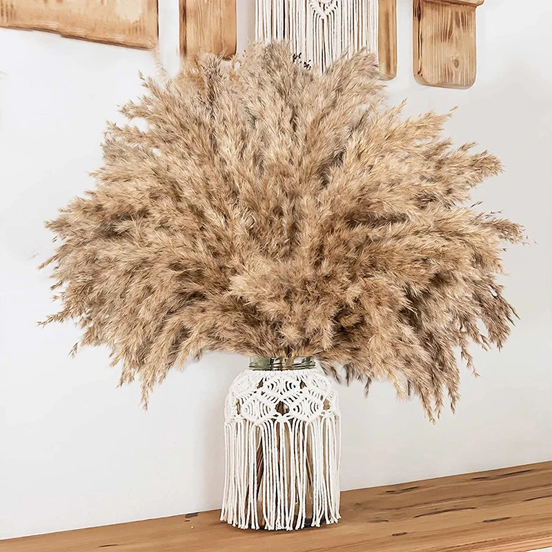 

30PCS Boho Style Fluffy Pampas Grass Dried Flower Decoration Home Decor Wedding Bouquet Party Supplies Natural Rabbit Tail Grass
