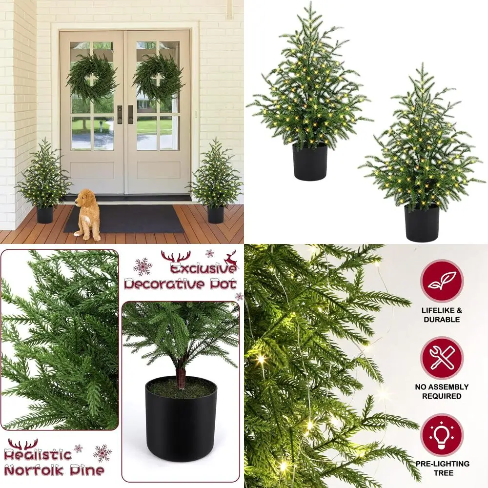 

Tabletop 2FT Pre-Lit Norfolk Pine Christmas Tree with 50 LEDs and 8-Function Battery Box for Home or Office