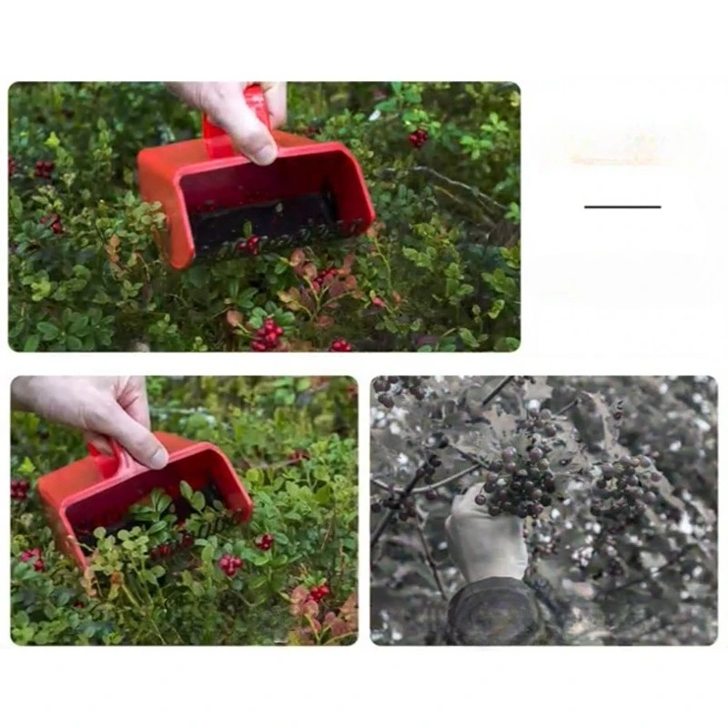 Berry Picker Pro - أداة حصاد الفواكه اللطيفة للاستخدام المنزلي والحديقة الخارجية، حصادة محمولة فعالة مع قبضة مريحة