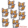 PE6619CT