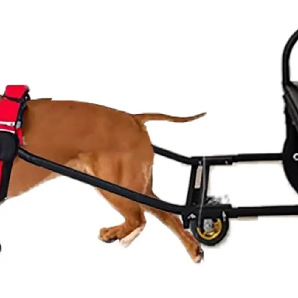 

All-Terrain Dog Cart for 22-132lbs Dogs with Removable Trailer and Harness, 220lb Load, 14 Tires & Foot Brake (88-132lb Size)