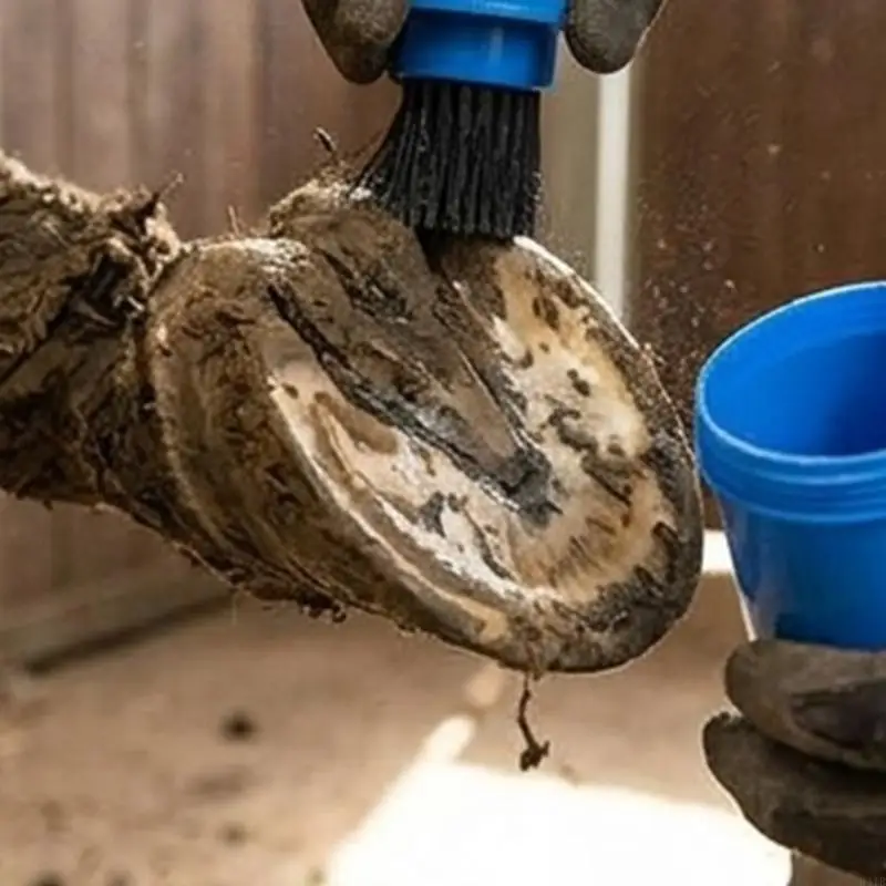 High Performances Horse Hoofs Brush Horse Grooming Tool Leakproof Hoofs Oil Brush For Professional And Home Equestrian Care 