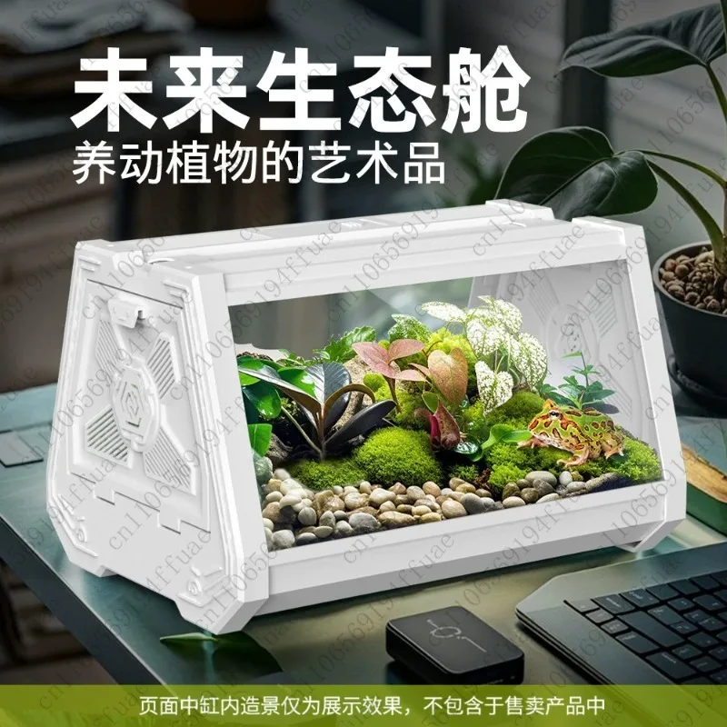 Ecological Landscape Aquarium Desktop Fish Tank Turtle Tank Aquarium Aquatic Plant Tank Rainforest
