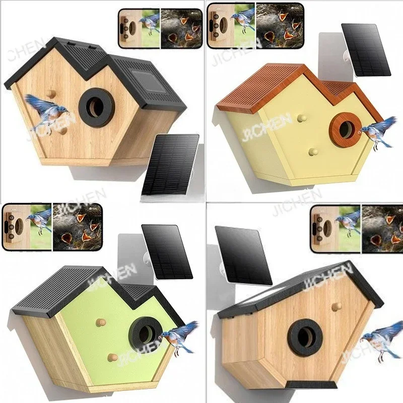 Zq Visual Ai Bird I…