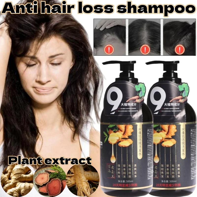 Ginger Polygonum Multiflorum Solid Hair Shampoo 500ml Deep Oil Control Strong Hair Roots Long-lasting Fragrance Shampoo