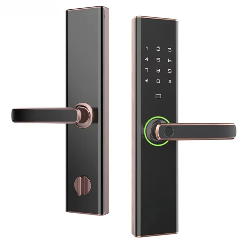 Home Keyless Entrance Door Lock Electric Slim Double-side Fingerprint Smart   One Time Password