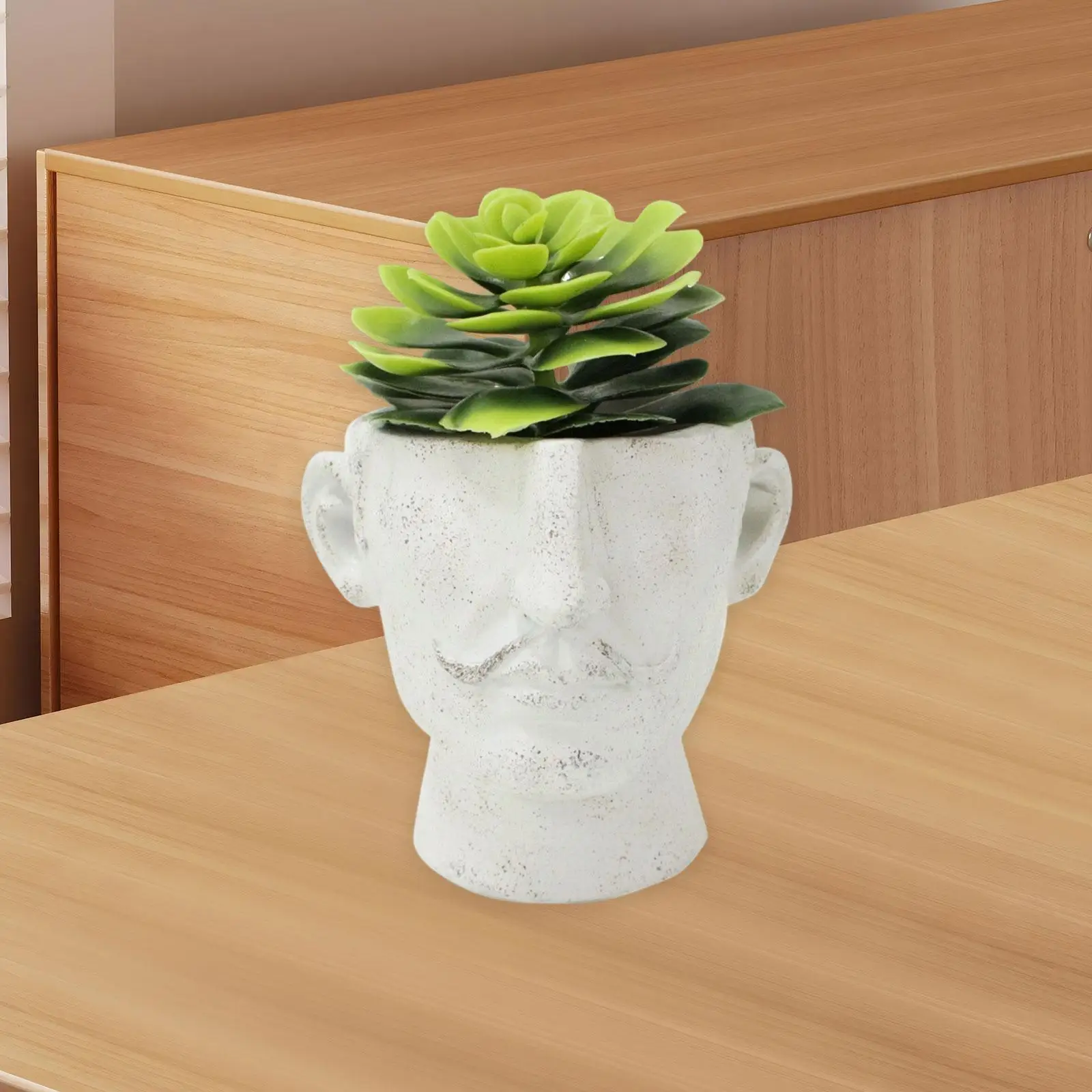 

Face Flower Pot Plant Container Novelty Creative, Practical Flower Planter Resin