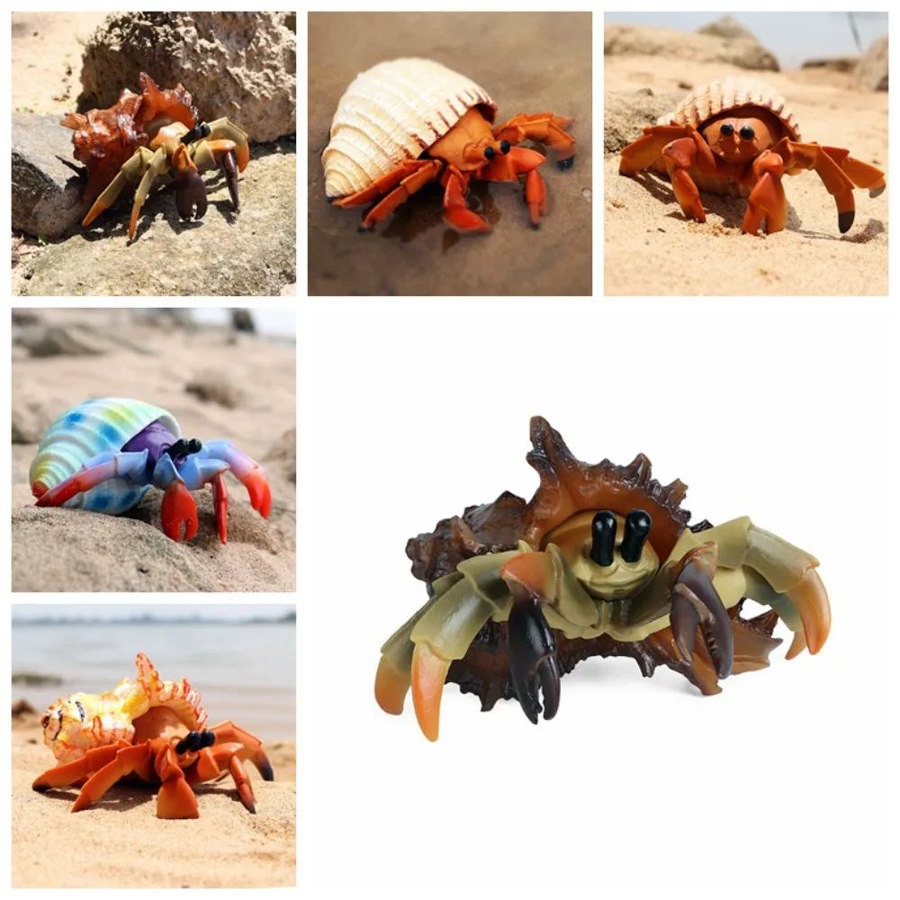 Model Animal Model Hermit Crab Realistic Hermit Crab Marine Plastic Toys Solid Figurines Sea Life Toys Collection