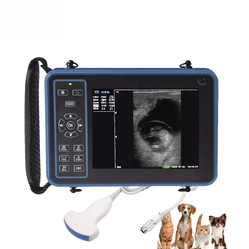 5.6 Inch LED Medical Display Animal Scanning Mode Convex Array Line Array Convex Probe Veterinary Ultrasound Diagnostic System