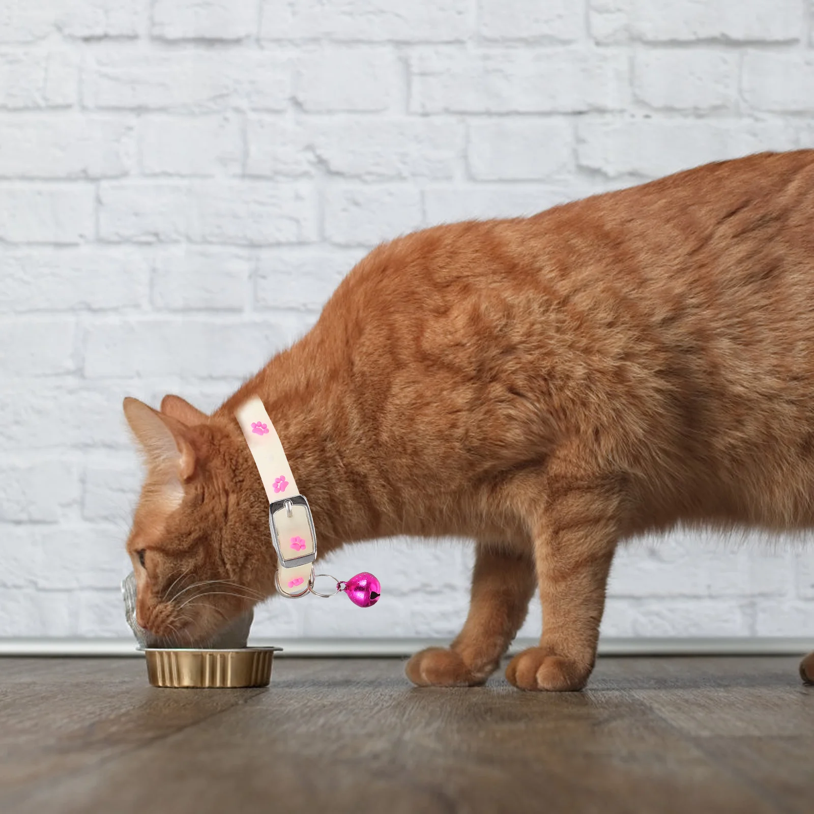 

3Pcs Neon Pet Collar Chic Stylish Puppy Kitten Collar Suitable for Parties Daily Wear Photos Weddings Birthdays Night Visibility