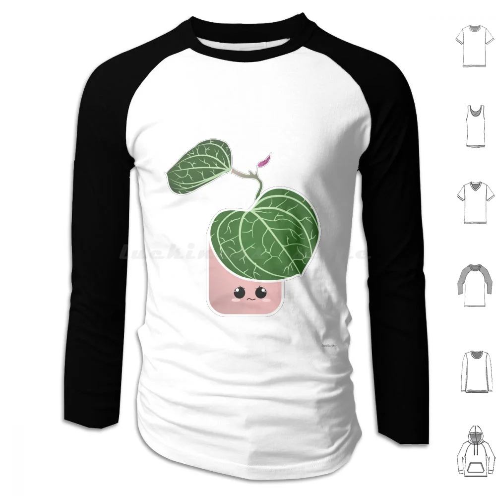 Sudadera con capucha Hoya Sarawk de algodón de manga larga, Hoya Houseplants Plant Lady Kuwaii Cute Plant Addict Plant Mom Quarantine