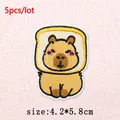 PE16800CT
