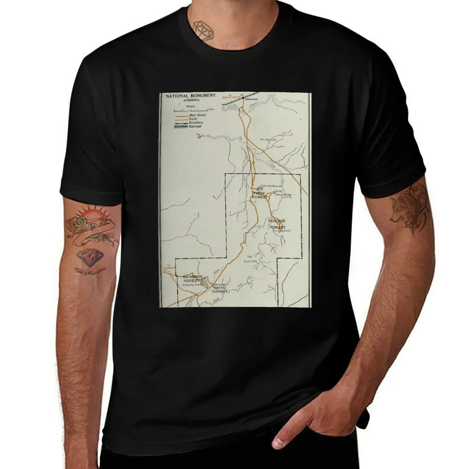 Vintage Petrified Forest National Park Map (1919) T-Shirt graphics anime clothes t shirt for men