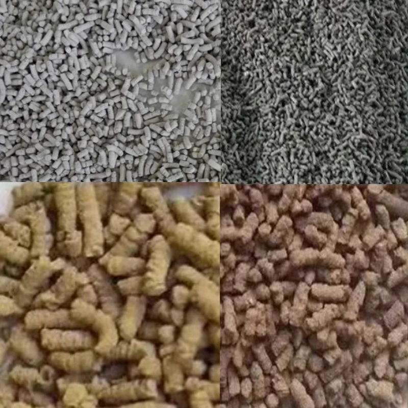 Brazil Pellet Machine Pelletizer 20kg/h Animal Feed Food Pellet Making Machine Farming Fish Bait Particles Rotary Granulator