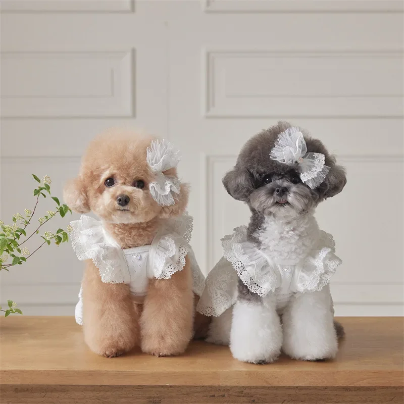 

Pet White Dresses Puppy Lace Flying Sleeve Dress Cat Top Spring and Summer Lace Princess Dress Small Dog Dog Dresses