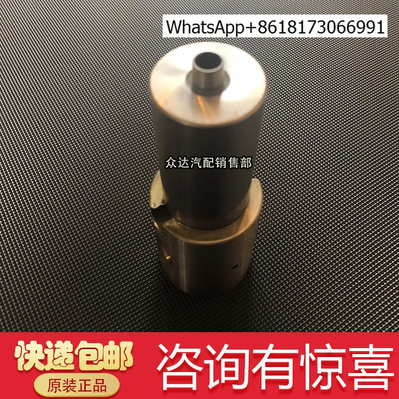 

German Pinfu High Pressure Pump Parts PF30 PF36 PF40 Plunger Pump Water Seal Oil Seal Ceramic Plunger