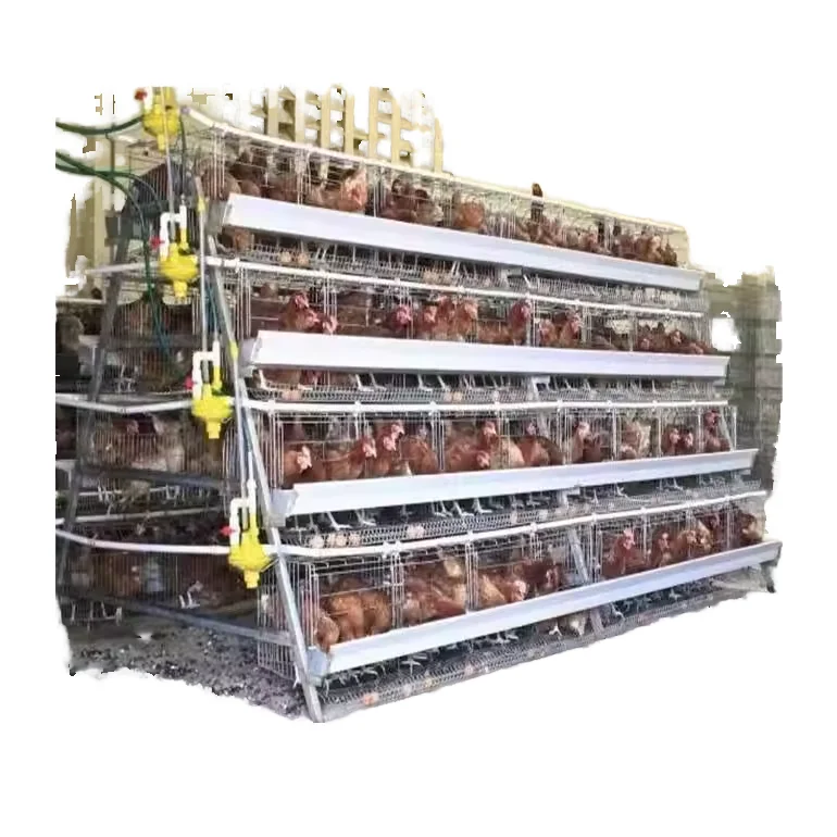 

Best Poultry Farming a Type 3/4 Tiers 96/120/128/160 Birds Battery Egg Collection Automatic Drinking Hen Egg Chickens Cages