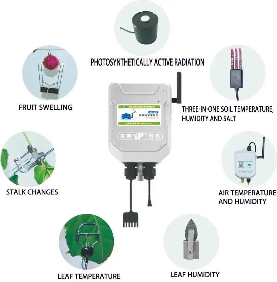 Popular Plant Physiological and Ecological Data Acquisition System