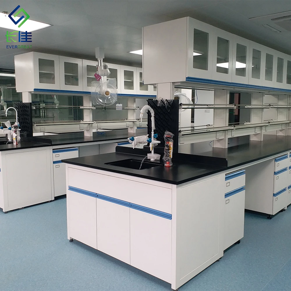 Professional Custom Modern Metal Scientific Bench for School Lab Hospital & Chemical Factory Use-EVERGREAT LAB-11