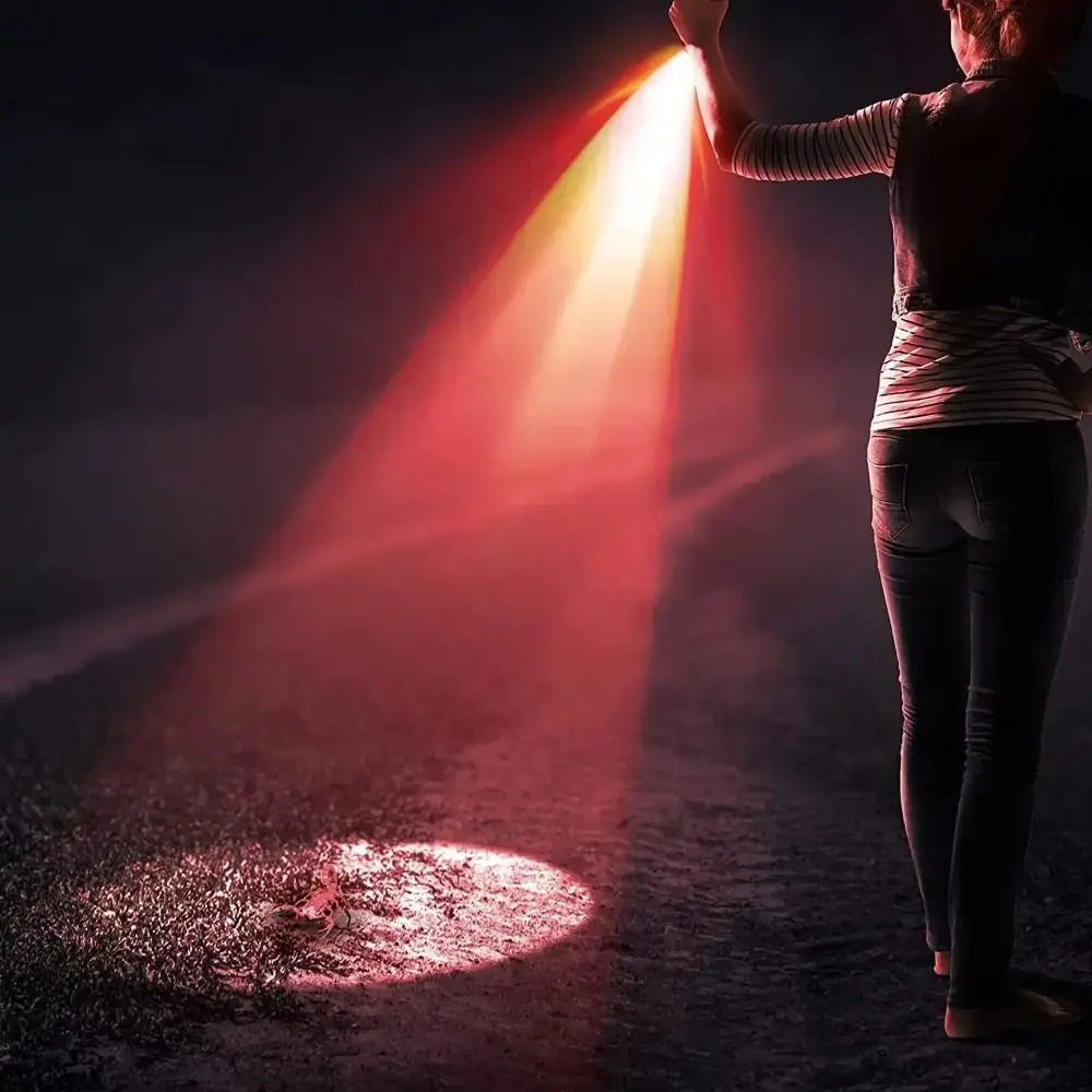 2pcs One Mode Red Light Penlight with Clip Waterproof Mini Flashlight Portable Battery-operated Pocket Sized Torch