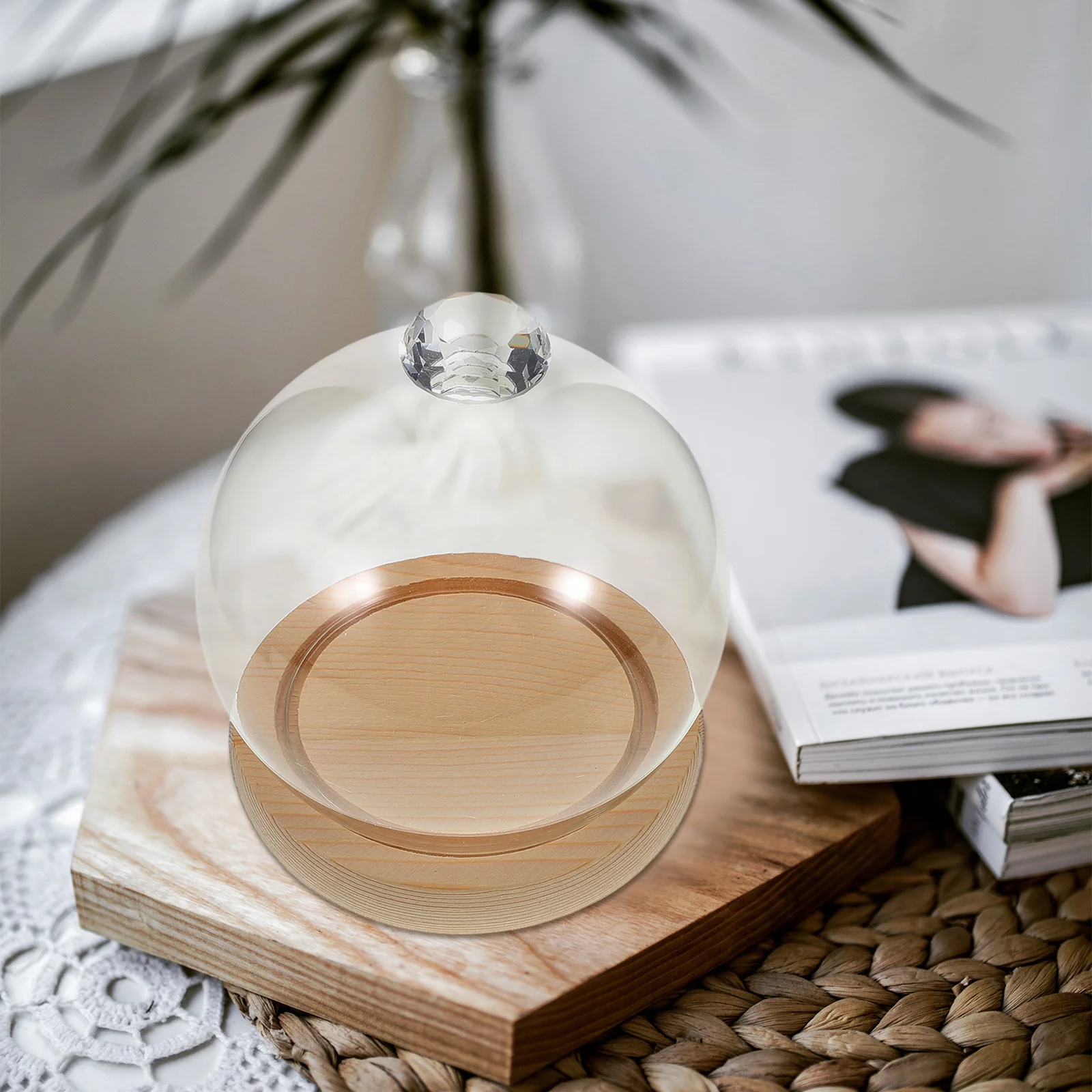 

1Set Glass Display Dome Cloche Spherical Shape Clear Protective Globe Decor Display Case Base for Preserved Flowers Desktop