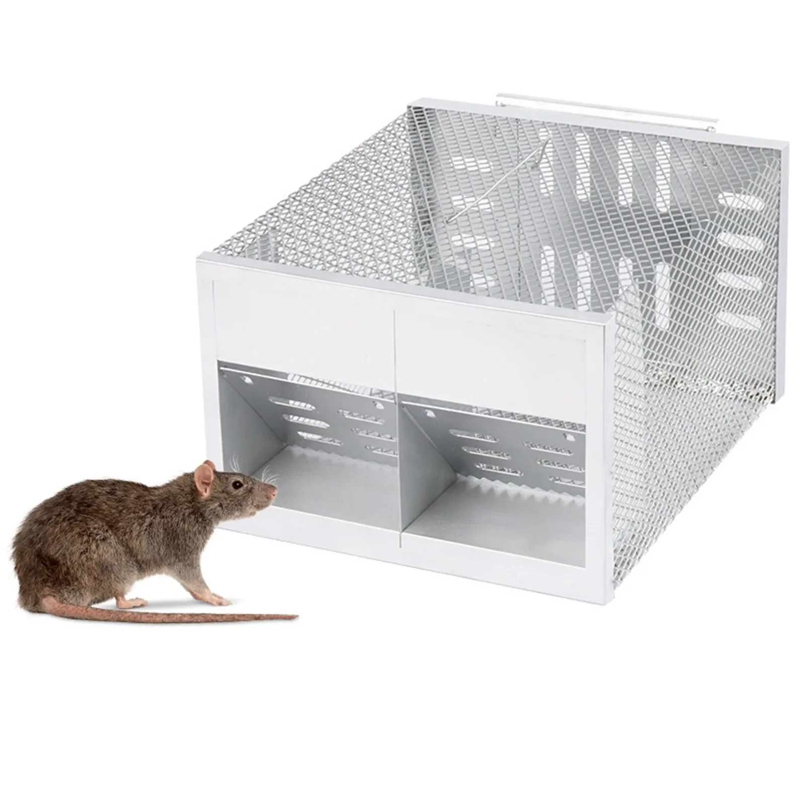 

Humane Smart Double Door Rat Trap Steel No Kill Live Catch with Air Holes Mice Trap Effective Sanitary Safe Mouse Cage Traps