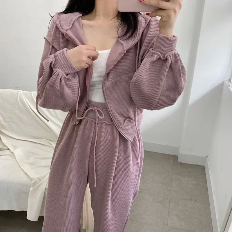 Women Sports Suits Spring Autumn New 2 piece Sets Candy Color Zipper Hooded Sweater Jacket + Casual Pants Loose tracksuits 2024