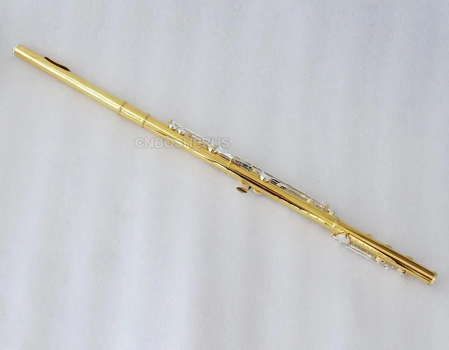 high quality Prof 17 Open Hole 24K Gold Plating Flute Silver plated Key With Case