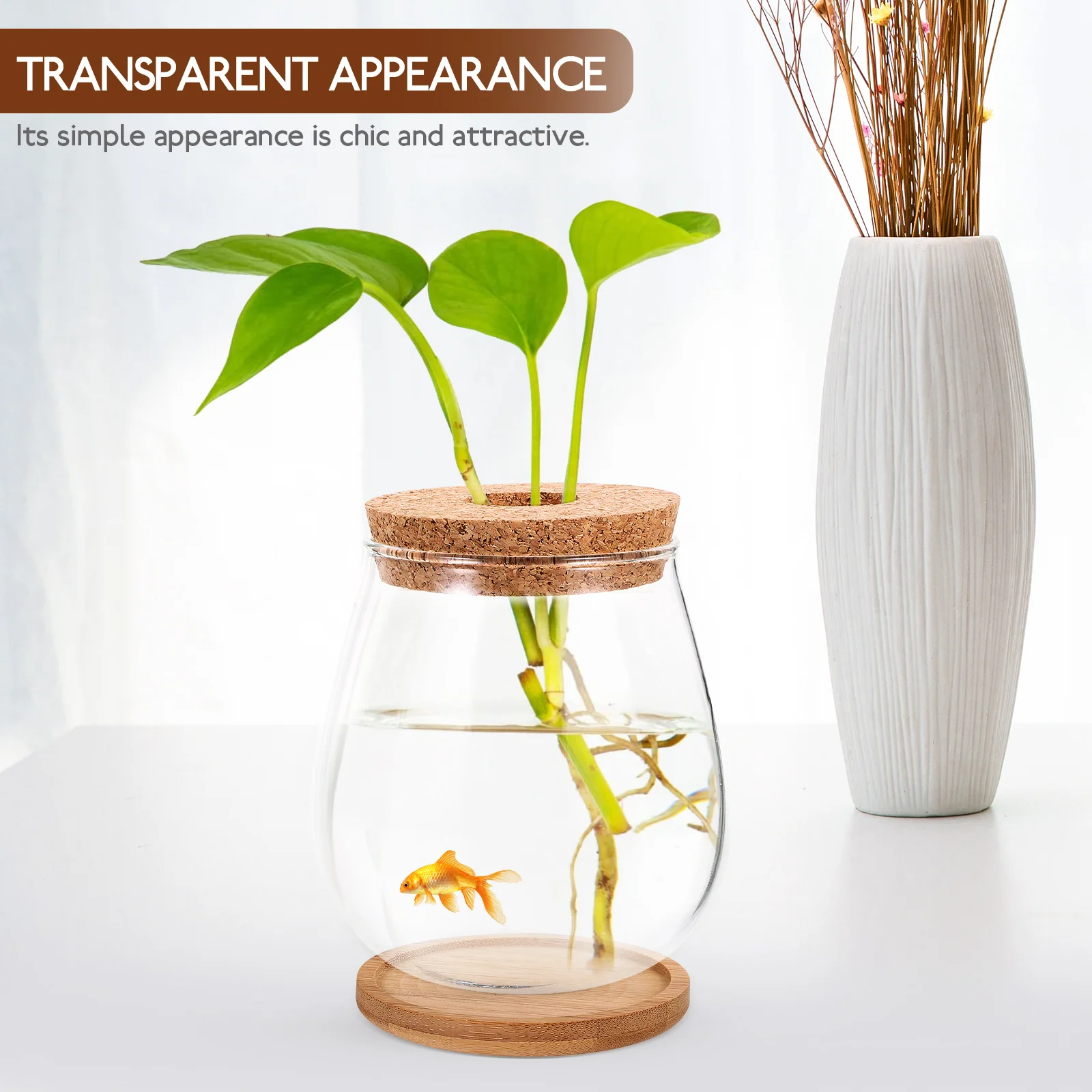 

Hydroponic Vase Glass Terrarium Container Bottle Micro Landscape Planter Mini Desktop Tank Transparent Design Bamboo Material