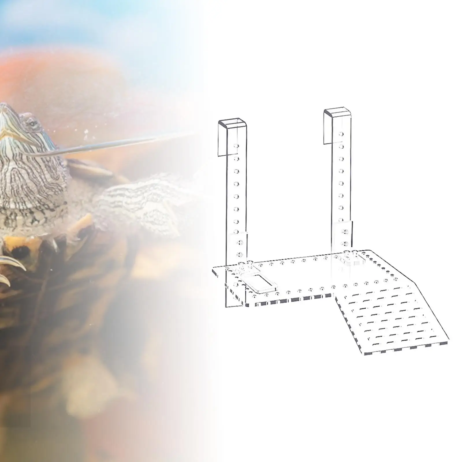 Clear Turtle Basking Platform Resting Terrace Durable Climbing Shelf Sturdy