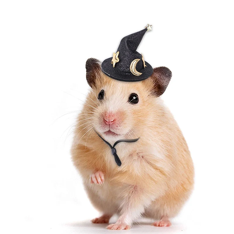 Cute Mini Pet Hat Cap Headdress Halloween Witch Hat Accessories for Small Animals Bunny Chinchilla Hamster Cosplay Clothing