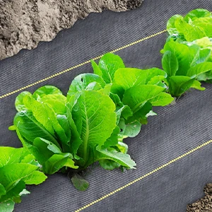 2025Hot Sale Weed Control Agriculture Fabric Anti-Weed Grass Plastic Mesh 4FT*300FT 70g