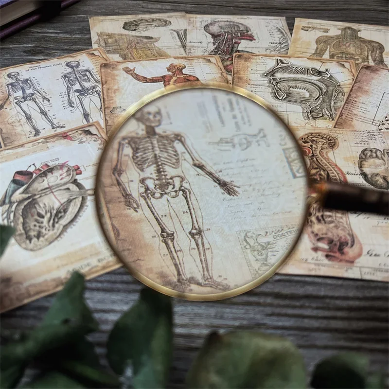 10 Pcs Vintage Human Anatomy Craft Paper Junk Journal Ephemera Antique Medical Collage DIY Album Scrapbooking Material Paper image 3