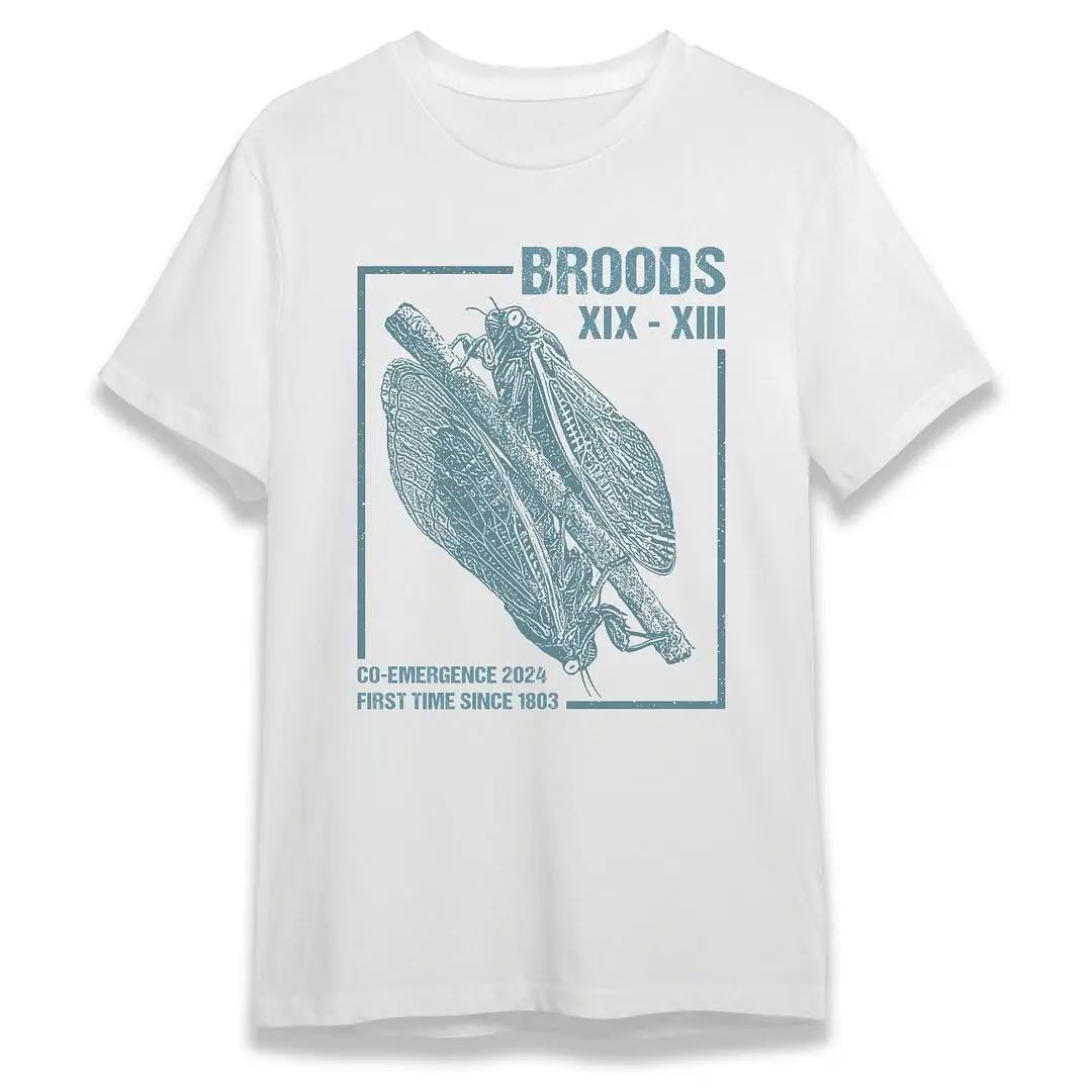 Entomology Cicada Fest 2024 Broods Love Tour T-Shirt  Illustration Shirt  Lover Shirts  Swarm  Heavy Cotto