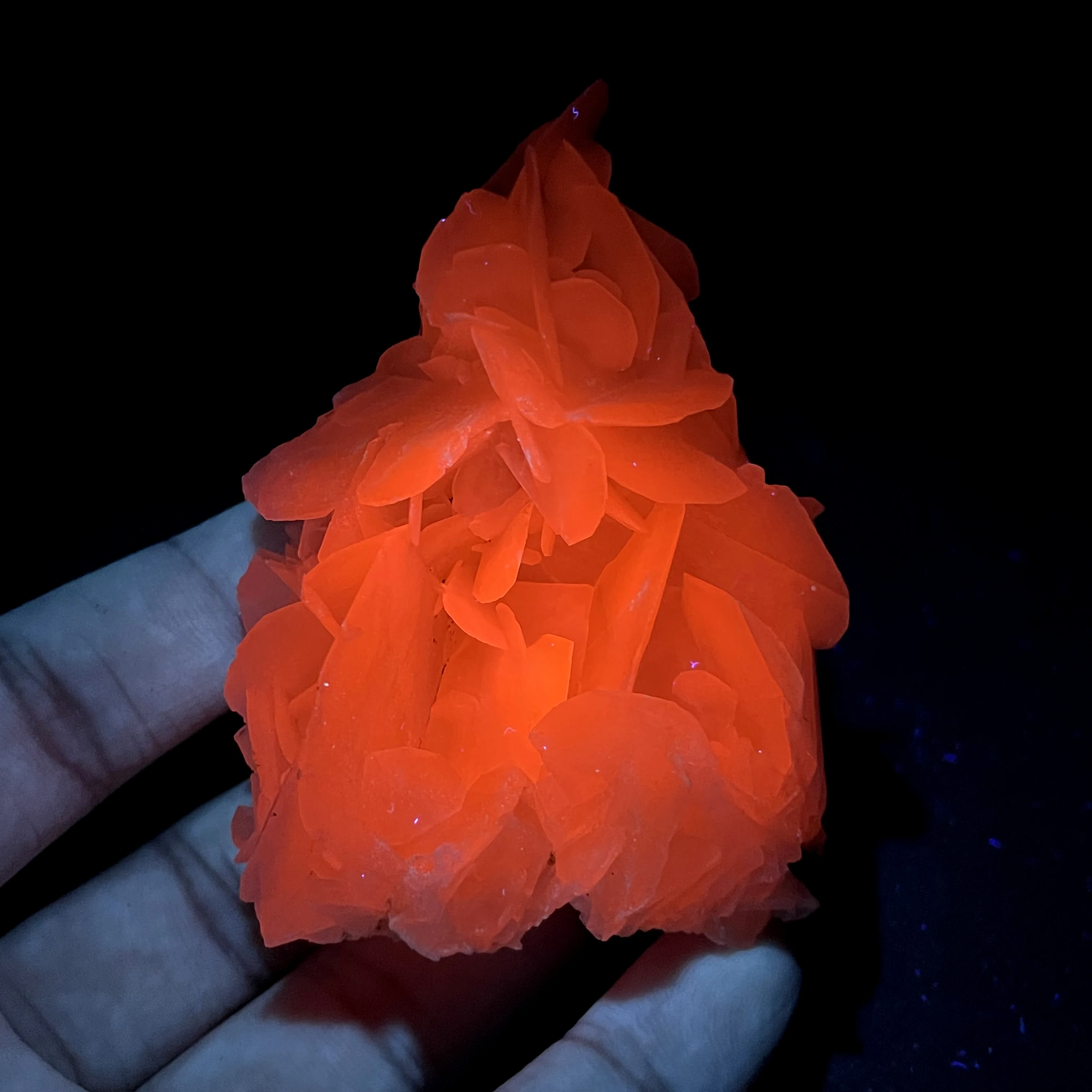 

BEST! 100% natural Fujian Rose Flake Fluorescent Calcite mineral specimen stones and crystals healing crystals quartz