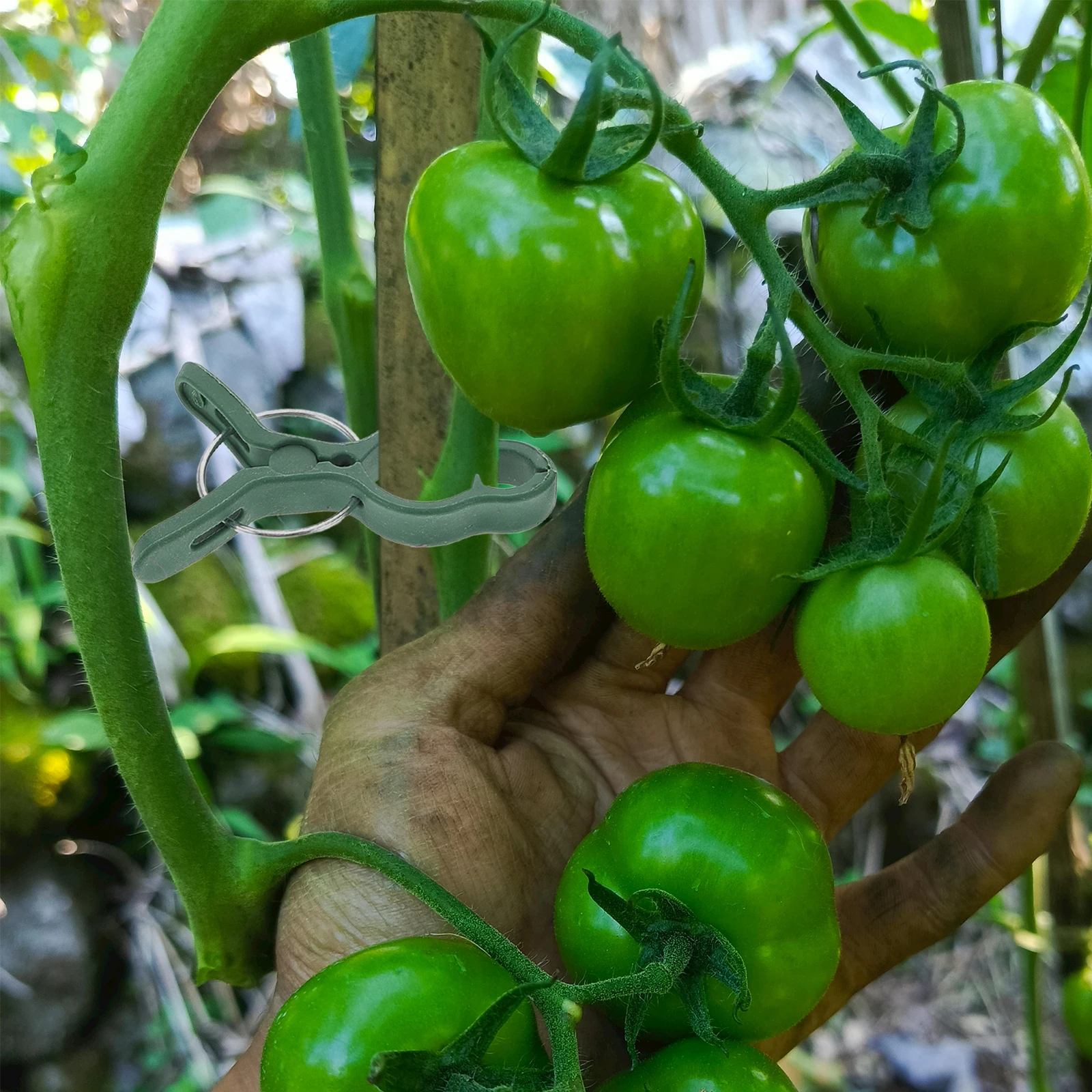 

50pcs Clips Garden Plant Clip Set Sturdy Durable Reusable Secure Plants Protect Weather Help Grow Upright Healthily Easy Use